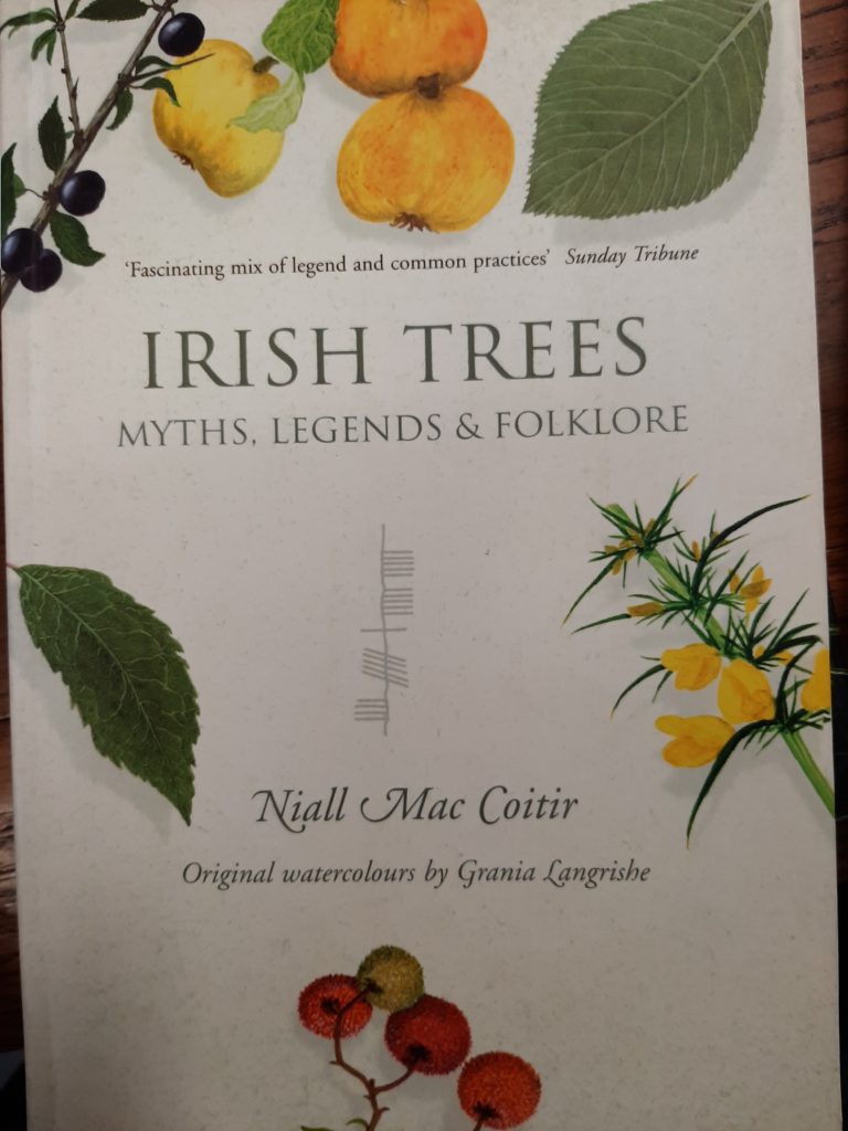 Irish Trees Myths & Folklore by Niall Mac Coitir - P Commane Bookshop